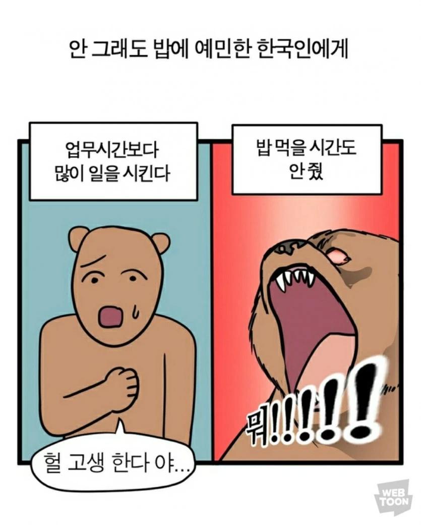 한국인들의 분노버튼