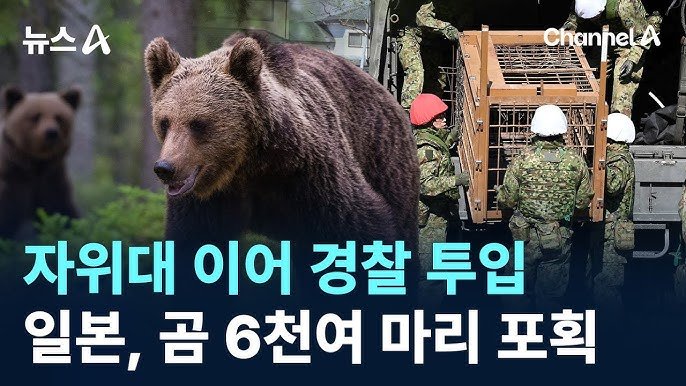 일본 곰 그거 자위대 파견해서 쓸어버리면 되는 거 아님? 에 대한 현지 사냥꾼의 의견