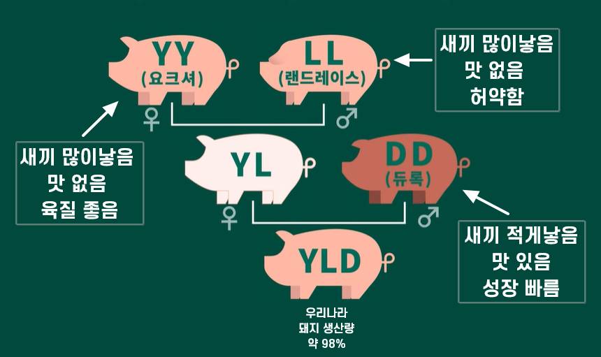 간단히 보는 요즘 삼겹살이 평타이상은 쳐주는 이유