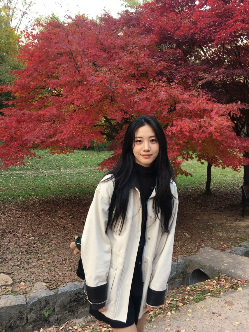 홍화연