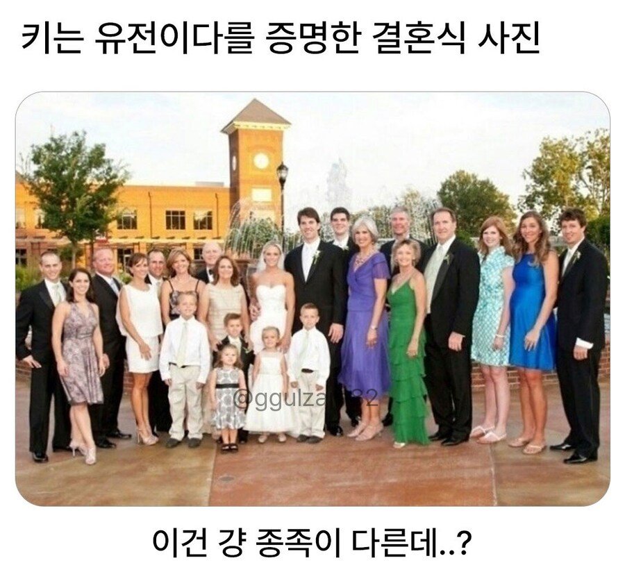 키는 유전이다를 증명한 결혼식 사진