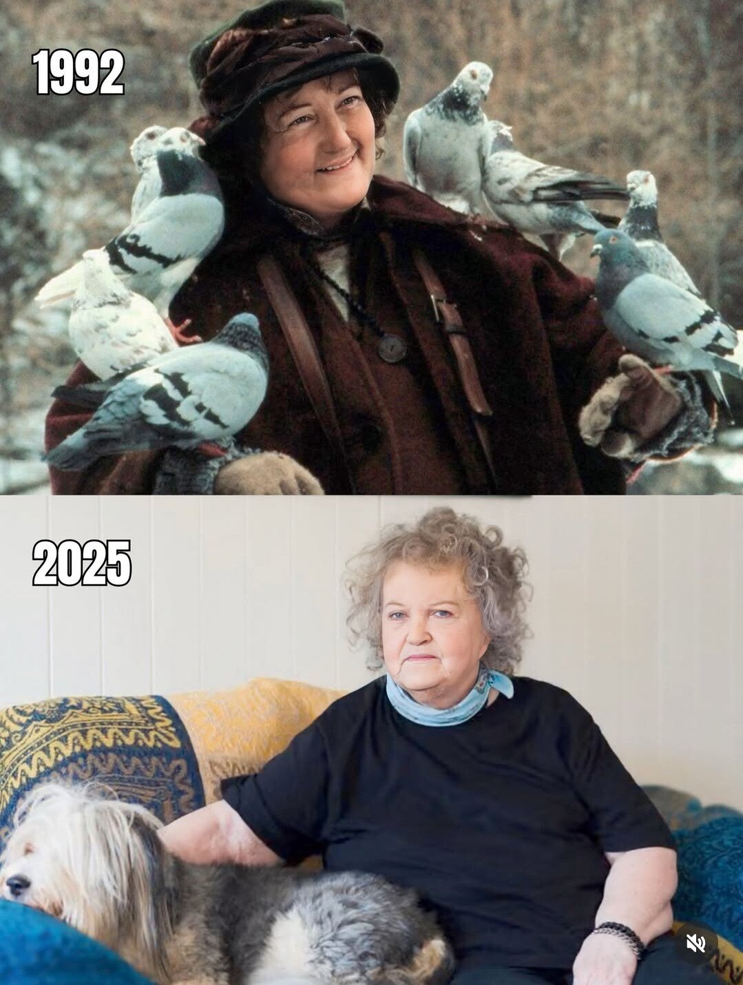 80세라는 나홀로 집에 비둘기아줌마 근황