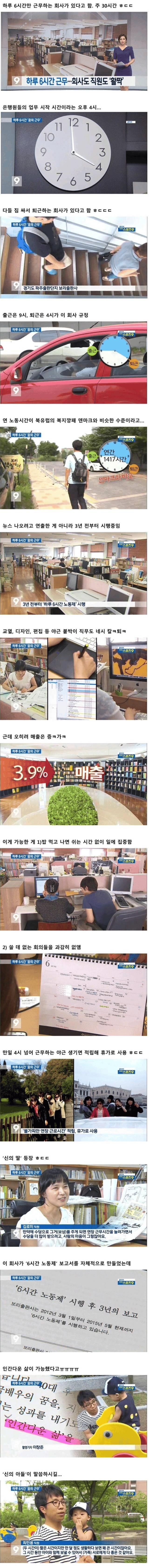 하루 6시간 근무하는 한국회사