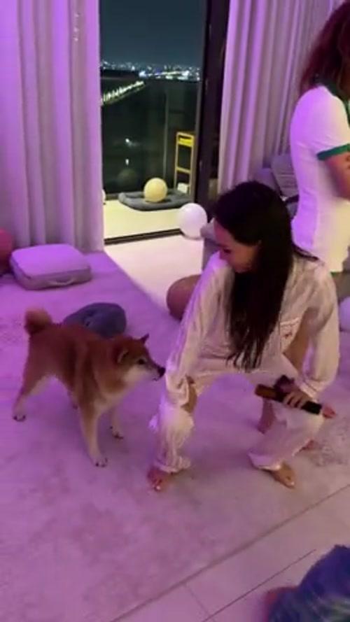 개나 언니들이나 다 같이