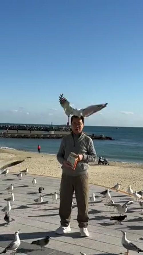 울 아빠 머리.. AI아님