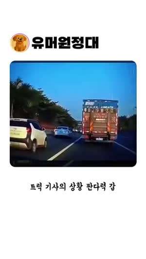 비싼차가 안전한 이유