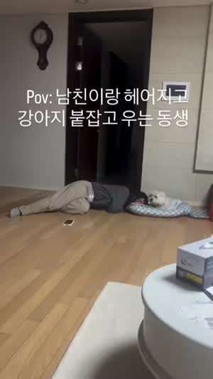 남친이별하고 왜 멍뭉이에게