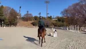 다리가 6개인 말.