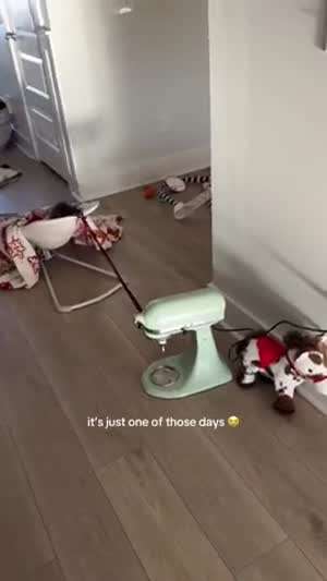 육아는 아이템빨