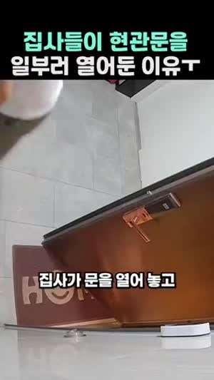 냥이 집사들이 현관문을 일부러 열어둔 이유