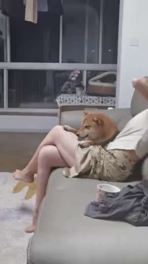 부럽다 이 새끼야