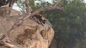 절묘한 위치 선정....